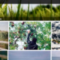 Yahoo enlivens Flickr with a Pinterest-esque redesign and 1TB of space