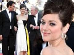 Cannes Film Festival 2013: Marion Cotillard Blood Ties premiere
