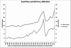 is every market rigged?