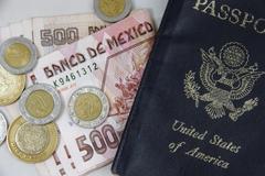 how will the senate's immigration bill affect the technology industry?