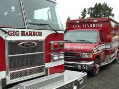 gig harbor fire blotter: bird's nest sparks grass fire