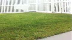 Hail in Florida? Yup!