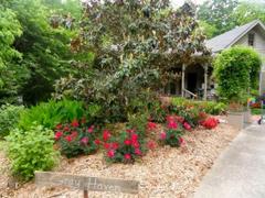 Hidden Duluth Gardens Revealed