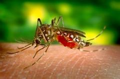 health dept. activates west nile virus hotline, asks public to report dead birds