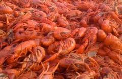 crawfish fest got its start in butler