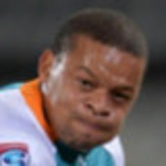 cheetahs keep bulls tethered - just!