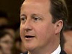 Cameron survives gay marriage vote